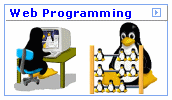 web programming with perl database programming mysql php asp mssql flash animation java script action scripts